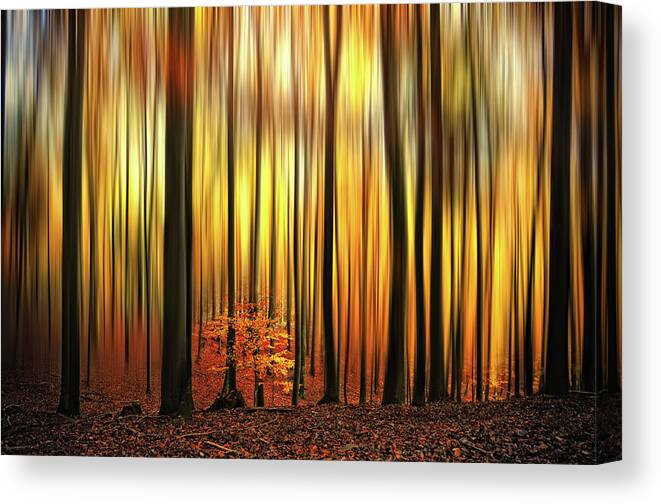 Forest Canvas Print featuring the photograph Firewall by Philippe Sainte-Laudy