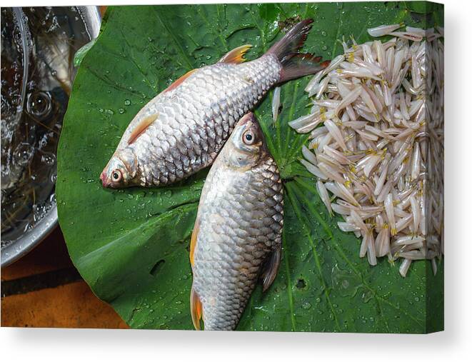 Cambodia Canvas Print featuring the photograph Fish at the Market by Nicole Young