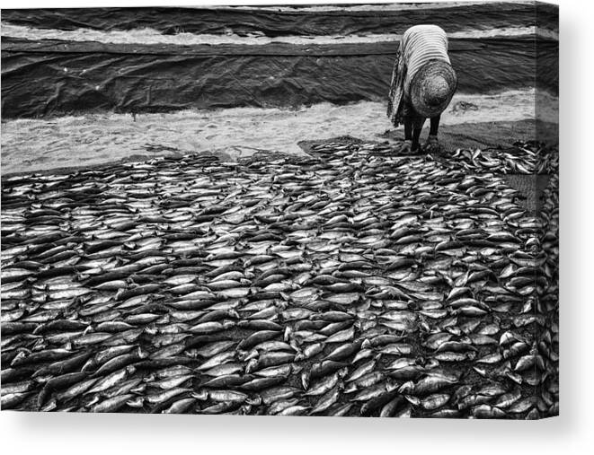 Fish Canvas Print featuring the photograph Fish, Just Fish by Pavol Stranak