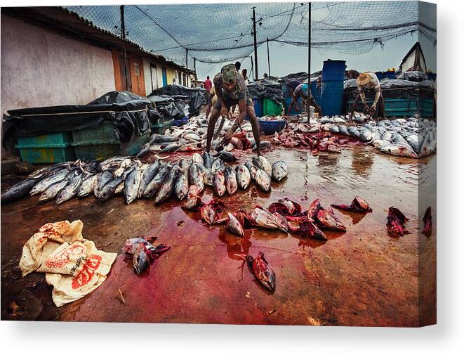Everyday Canvas Print featuring the photograph Fisherman's Life by Lukasz Kaluza