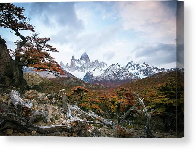 Patagonia Canvas Print featuring the photograph Fitz by Ryan Weddle