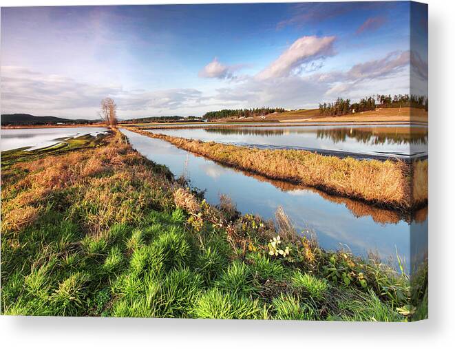 Vancouver Island Canvas Print featuring the photograph Flooded Field by Emilynorton