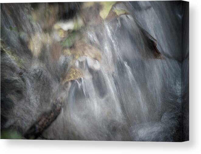 Water Stream Leaves Flow Canvas Print featuring the photograph Flow by Jerry Daniel