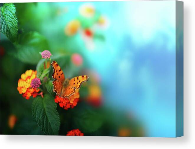 Flowerbed Canvas Print featuring the photograph Flower Background With Butterfly by O-che