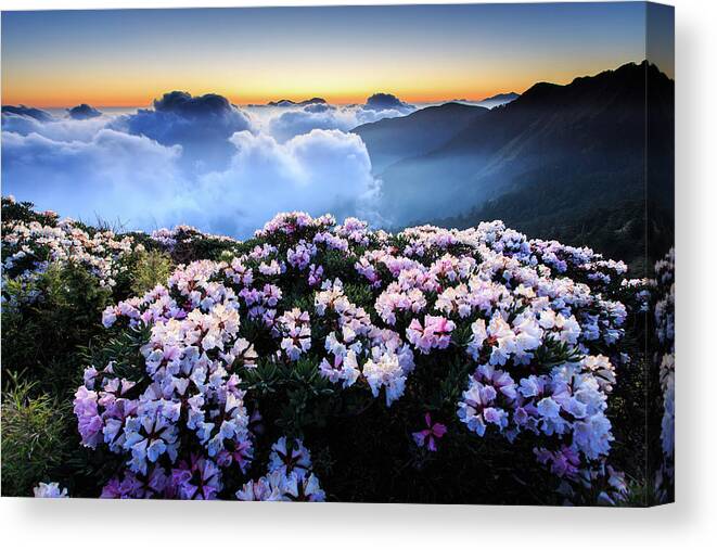 Scenics Canvas Print featuring the photograph Flowers In High Mountains by Samyaoo