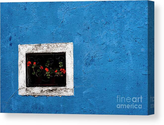 Color Canvas Print featuring the photograph Always with me by The P