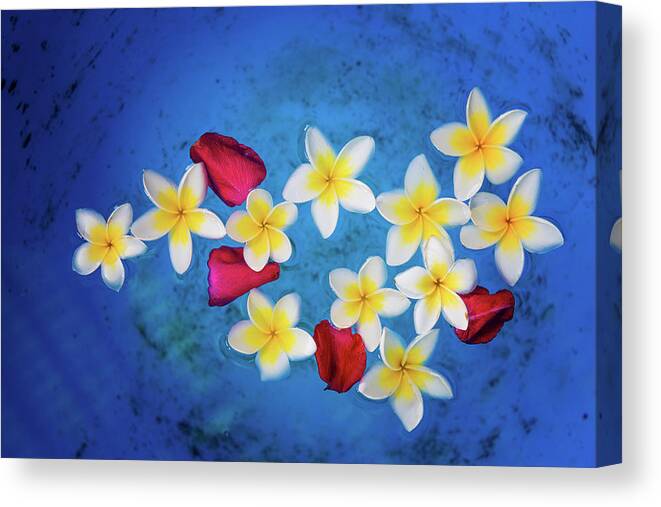 Flowers Canvas Print featuring the photograph Flowers of Laos by Philippe Sainte-Laudy