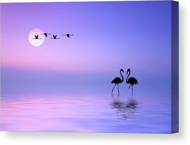 Graphic Canvas Print featuring the photograph Flying Flamingo by Bess Hamiti