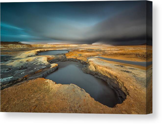 Landscape Canvas Print featuring the photograph Focus On Nature by Raymond Hoffmann