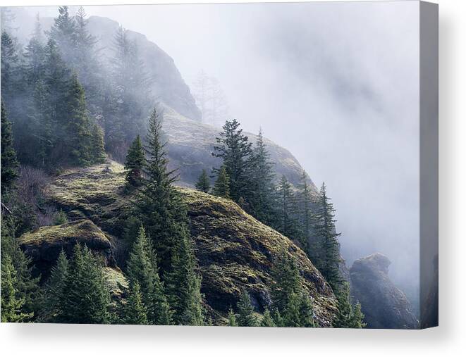 Clatsop County Canvas Print featuring the photograph Foggy on Saddle Mountain by Robert Potts