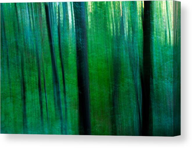 Forestabstract Canvas Print featuring the photograph Forest Abstract Near Mohonk Mountain by Bill Gozansky