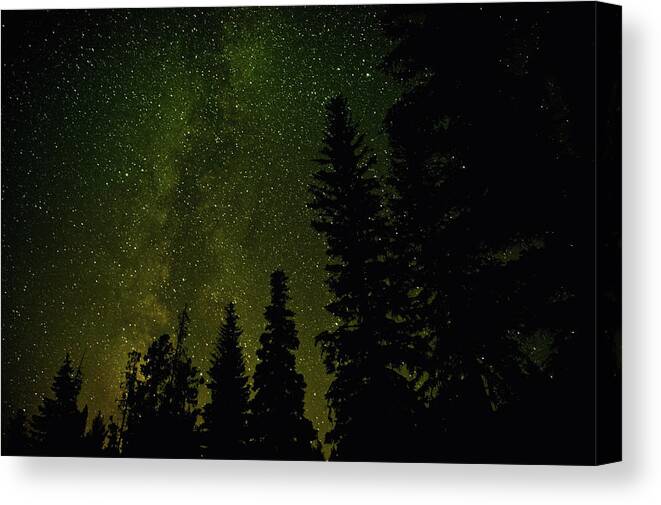 Constellation Canvas Print featuring the photograph Forest And Milky Way At Night by Rontech2000