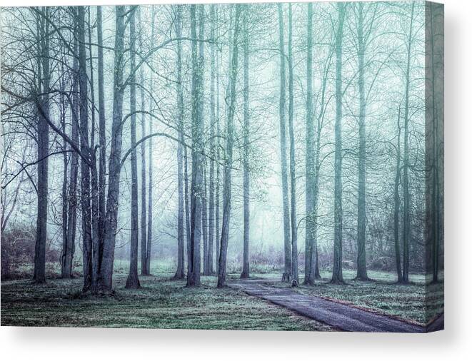 Appalachia Canvas Print featuring the photograph Forest Beauty in Winter Mist by Debra and Dave Vanderlaan