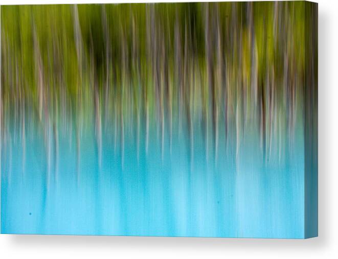 Water Canvas Print featuring the photograph Forest Standing On The Blue Water by Kohichi Kotera