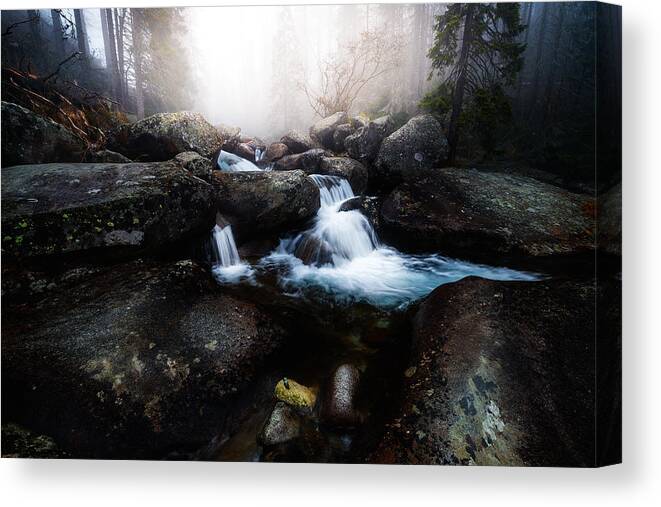 Stream Canvas Print featuring the photograph Forest Stream - High Tatras by Kristian Potoma