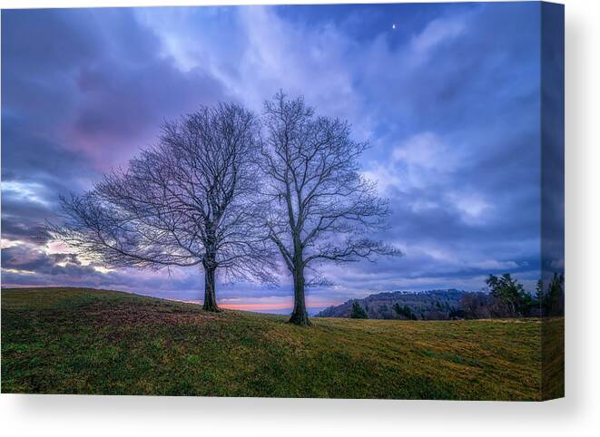 Two Trees Canvas Print featuring the photograph Forever Be With You ??????? by Jianping Yang