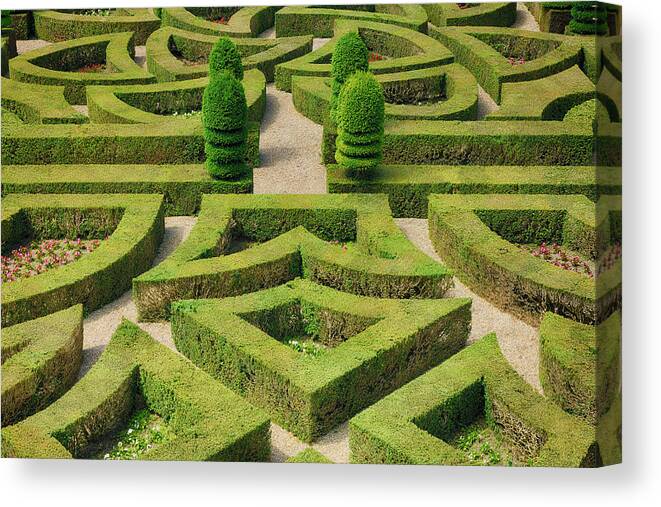 Unesco Canvas Print featuring the photograph Formal Hedged Garden Of Villandry by Martin Ruegner
