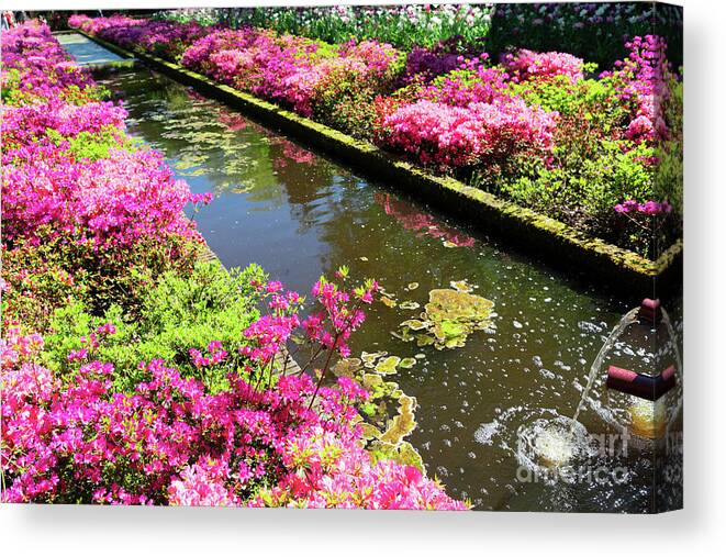 Garden Canvas Print featuring the photograph Pink Rododendron Flowers by Anastasy Yarmolovich