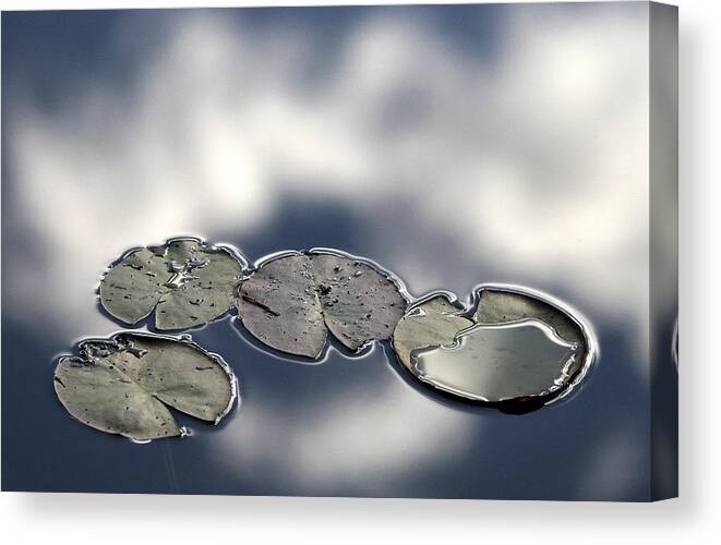 Water Canvas Print featuring the photograph Four by Bror Johansson