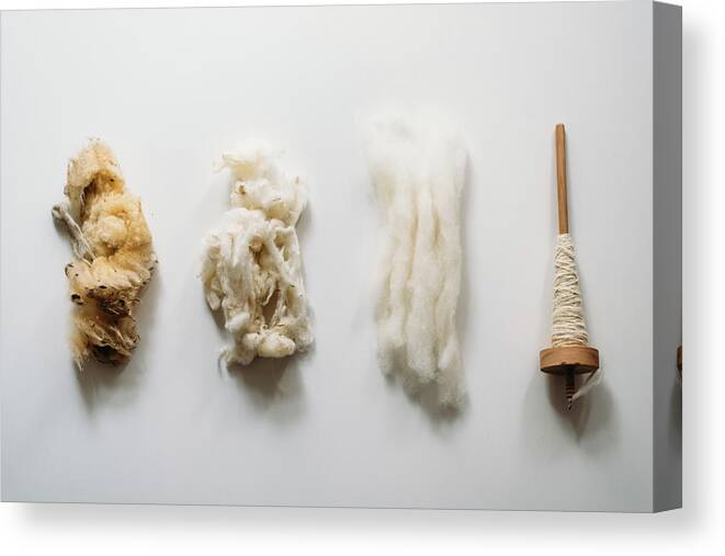 Wool Canvas Print featuring the photograph Four Stages: Raw Wool, Washed Wool, Combed Wool And Yarn by Cavan Images