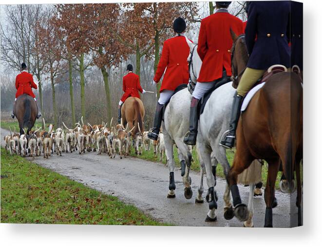 Horse Canvas Print featuring the photograph Fox Hunt 1 by Lya cattel
