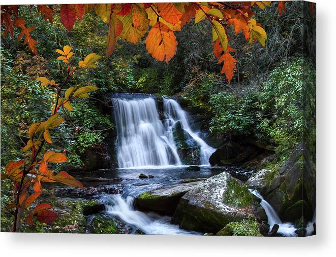 Carolina Canvas Print featuring the photograph Framed by Debra and Dave Vanderlaan