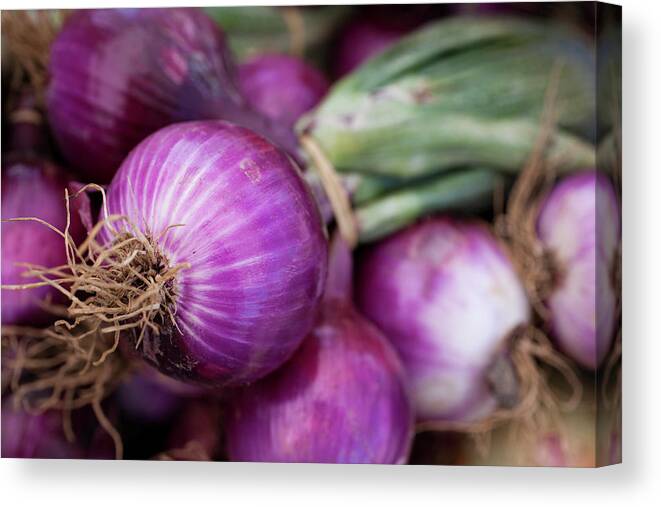 Purple Canvas Print featuring the photograph Fresh Red Onions by Brian Yarvin