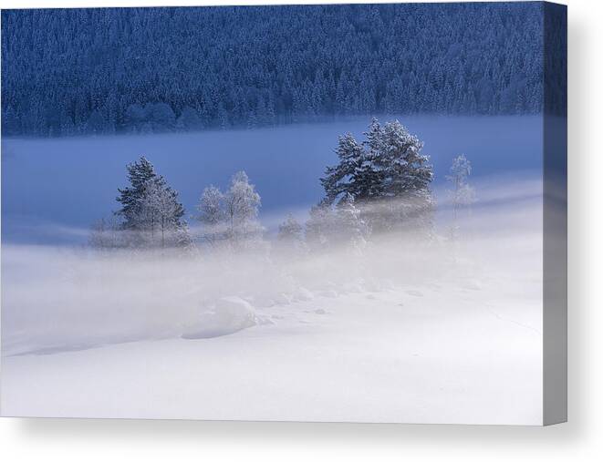 Winter Canvas Print featuring the photograph Frozen Lake by Norbert Maier