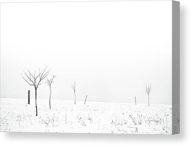 Snow Canvas Print featuring the photograph Fruit Trees Lost In Winter Fog by Raphael Schneider
