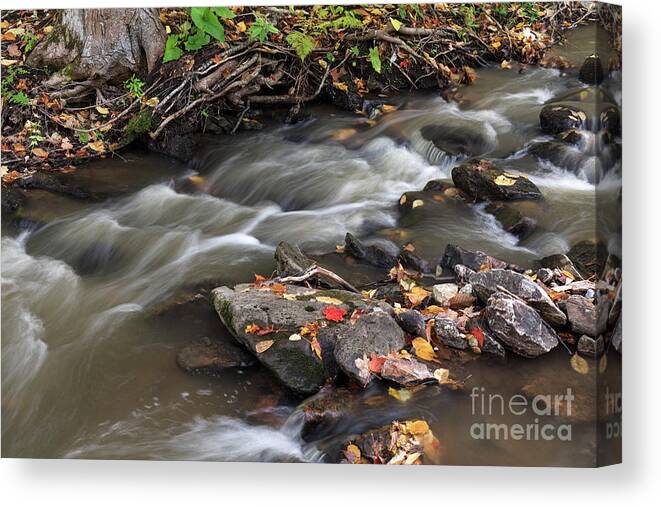 Autumn Canvas Print featuring the photograph Gatineau Park's Fortune Creek by Michael Russell