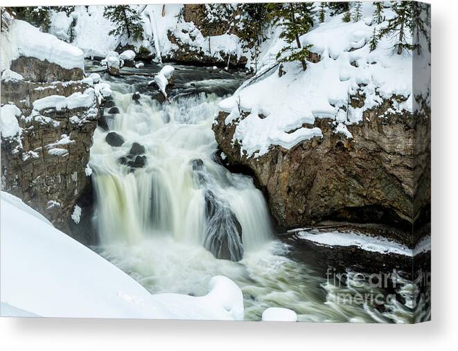 Timothy Hacker Canvas Print featuring the photograph Gibbon Falls Yellowstone 4 by Timothy Hacker