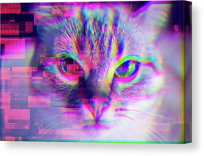 Glitch Canvas Print featuring the digital art Glitch Art Trippy Cat by Matthias Hauser