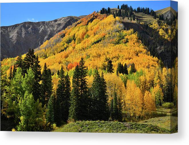Colorado Canvas Print featuring the photograph Golden Hillsides Along Million Dollar Highway by Ray Mathis