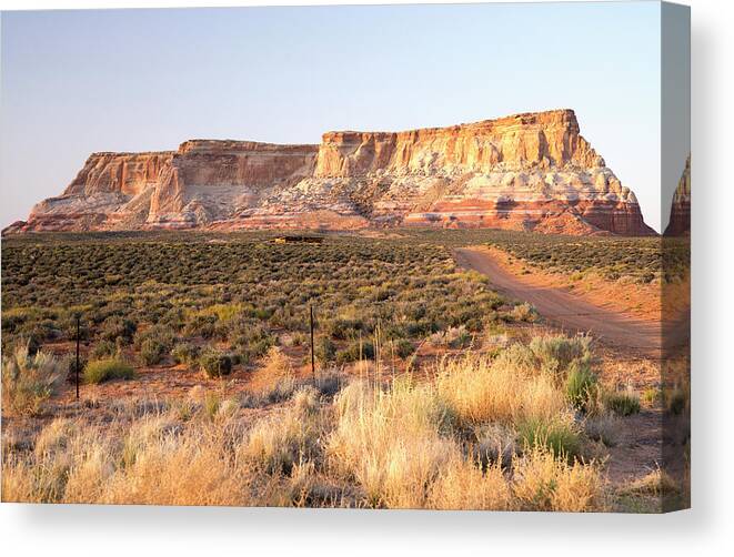 Tranquility Canvas Print featuring the photograph Golden Light On The Ranch by Gail Shotlander