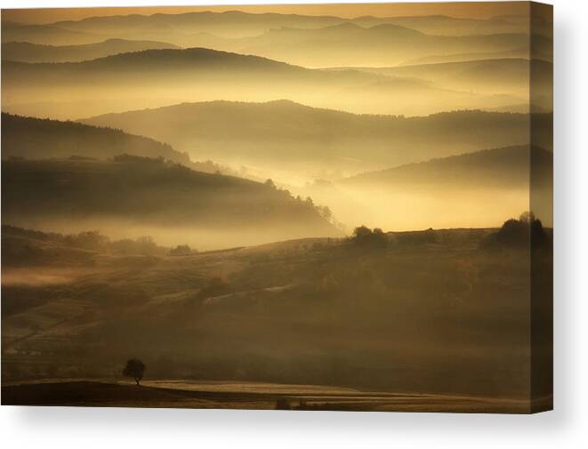 Hills Canvas Print featuring the photograph Golden Morning by Photocosma