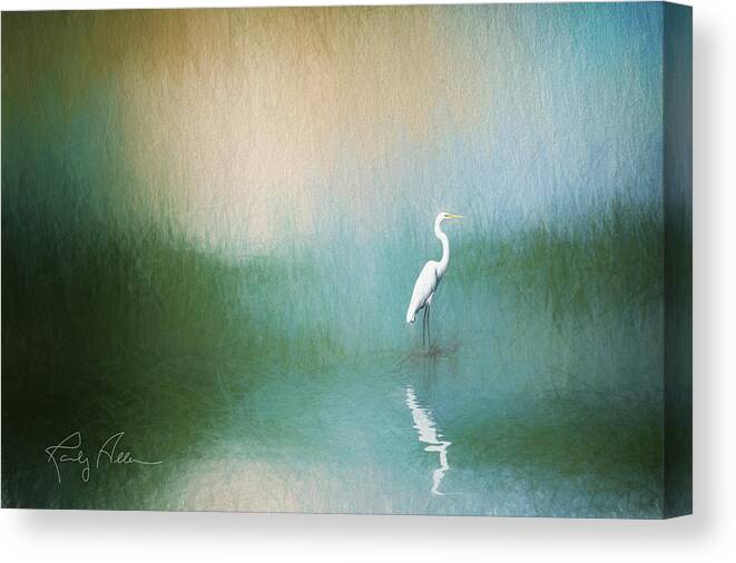 Great Egret Canvas Print featuring the photograph Great Egret by Randall Allen