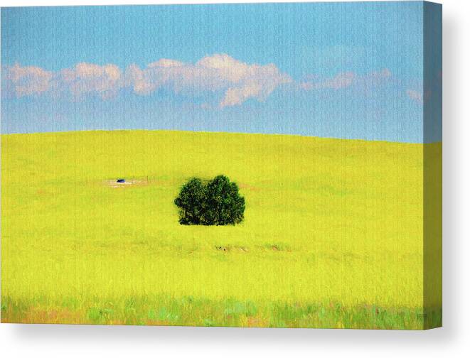 Green Canvas Print featuring the photograph Green bush in the middle of yellow sea  paintography by Dan Friend