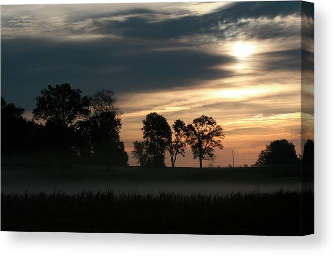 Trees Canvas Print featuring the photograph Grey Dawn Wetland by Robert Goldwitz