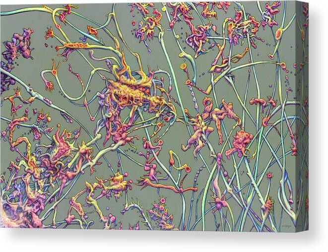 Growth Canvas Print featuring the painting Growth by James W Johnson