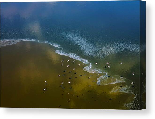 Aerial Canvas Print featuring the photograph Half Cold, Half Warm by Hao Jiang