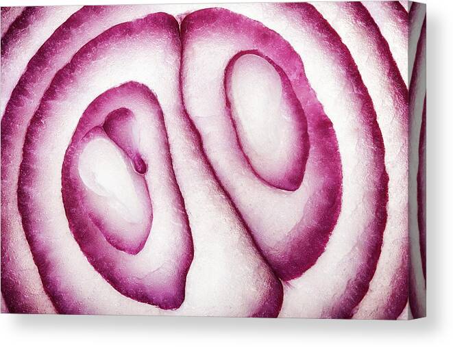 Red Canvas Print featuring the photograph Half Red Onion Macro by Johan Swanepoel