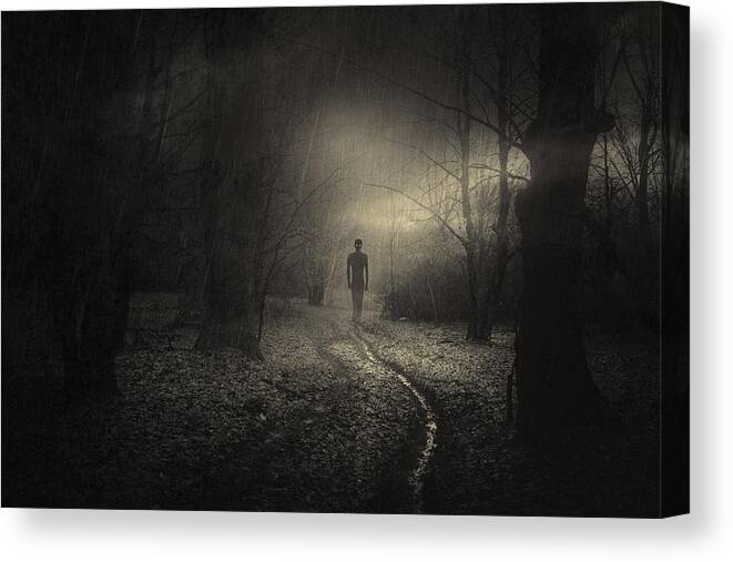 Silhouette Canvas Print featuring the photograph Haunting by Photocosma
