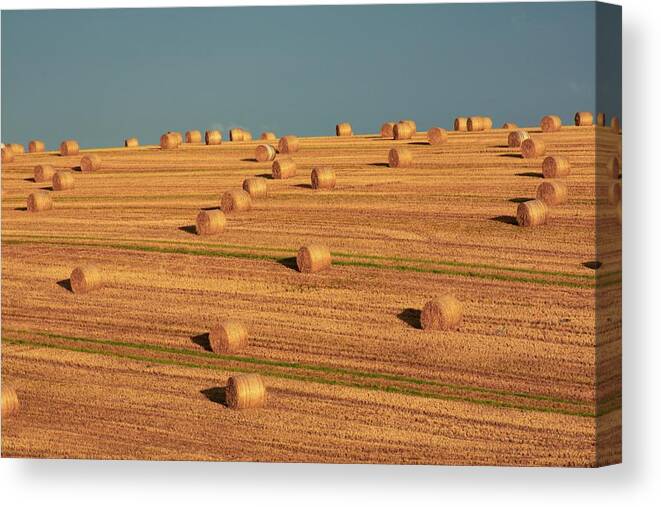 Outdoors Canvas Print featuring the photograph Hay Bales After Harvest, Mallow, County by Design Pics/peter Zoeller