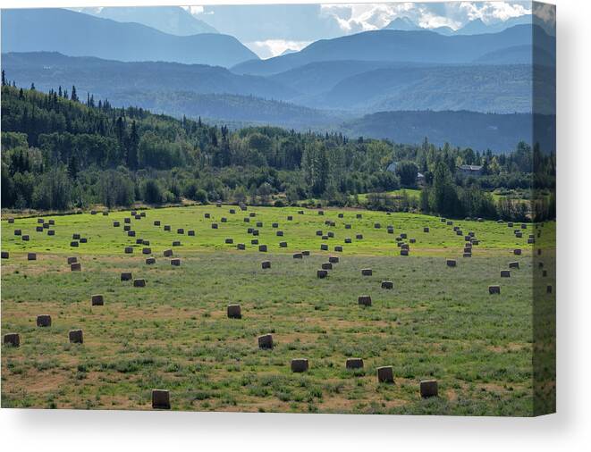 Canada Canvas Print featuring the photograph Hay Season in British Columbia by Mary Lee Dereske