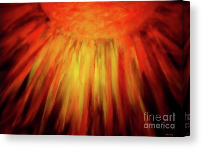 Sun Canvas Print featuring the photograph Healing Balm of the Sun by Roberta Byram