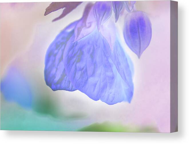 Heavenly Pastels 02 Canvas Print featuring the photograph Heavenly Pastels 02 by Eva Bane