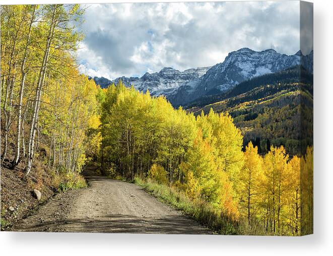 Colorado Canvas Print featuring the photograph High-country Road by Denise Bush