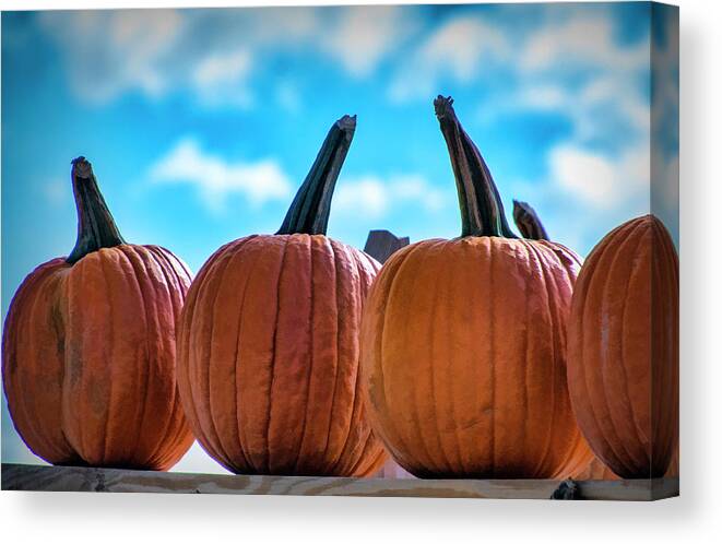 Pumpkins Canvas Print featuring the photograph High Pumpkins by Cathy Kovarik