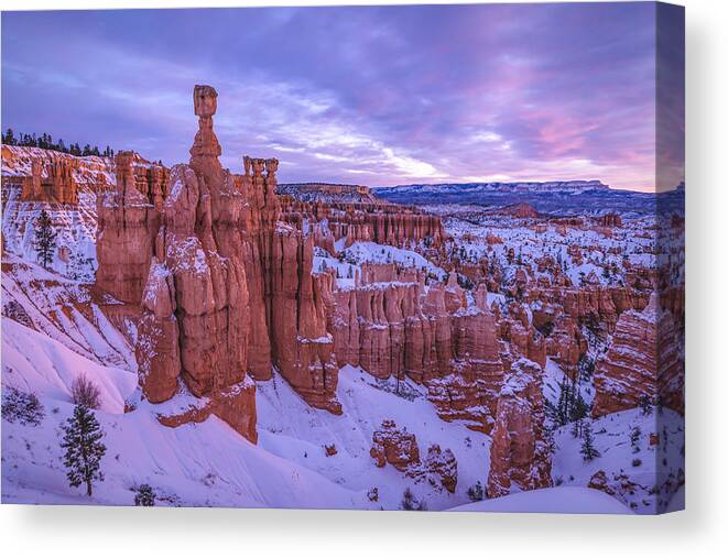 Rock Formation Canvas Print featuring the photograph Hoodoos In Bryce Canyon by Joy Pingwei Pan