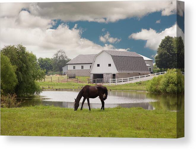 Horse & Barn Canvas Print featuring the photograph Horse & Barn, Shipshewana, Indiana '10 - Color by Monte Nagler